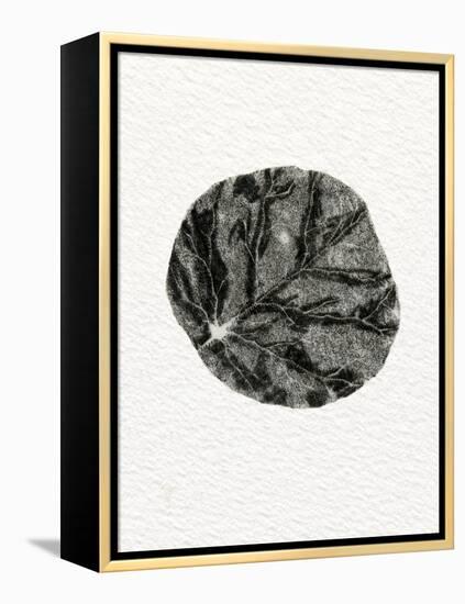 Leaf, 2014-Bella Larsson-Framed Premier Image Canvas