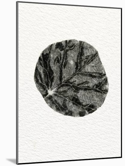 Leaf, 2014-Bella Larsson-Mounted Giclee Print