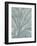 Leaf 8-Botanical Series-Framed Art Print