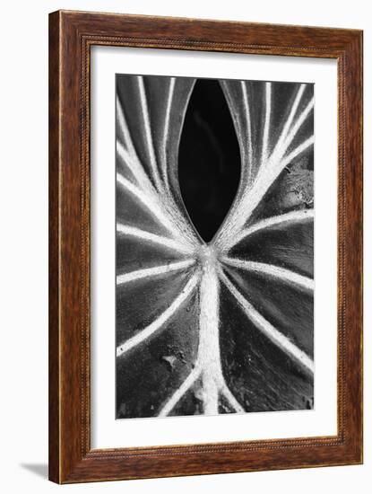 Leaf Abstract - Flow-Wink Gaines-Framed Giclee Print