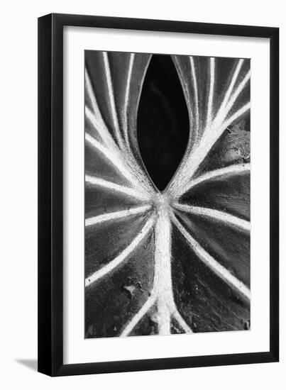 Leaf Abstract - Flow-Wink Gaines-Framed Giclee Print