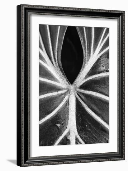 Leaf Abstract - Flow-Wink Gaines-Framed Giclee Print