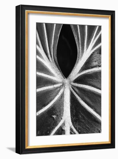 Leaf Abstract - Flow-Wink Gaines-Framed Giclee Print