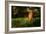 Leaf and Ant-Philippe Sainte-Laudy-Framed Photographic Print