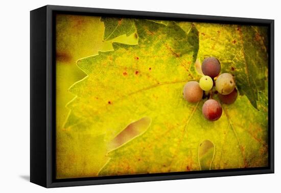 Leaf and Cluster 1-Jessica Rogers-Framed Premier Image Canvas