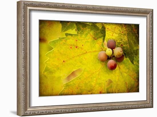 Leaf and Cluster 1-Jessica Rogers-Framed Giclee Print