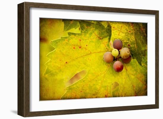 Leaf and Cluster 1-Jessica Rogers-Framed Giclee Print