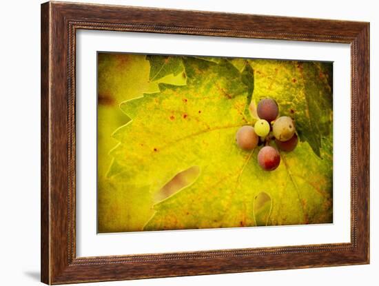 Leaf and Cluster 1-Jessica Rogers-Framed Giclee Print