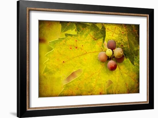 Leaf and Cluster 1-Jessica Rogers-Framed Giclee Print