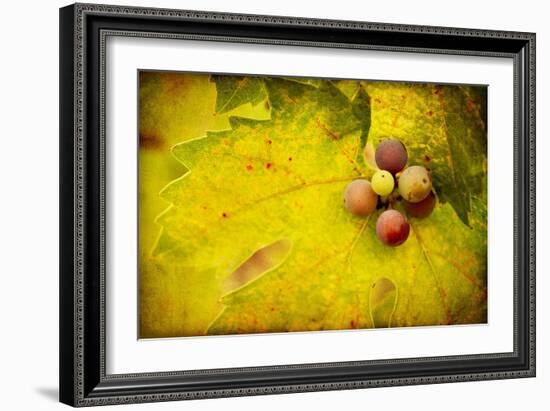 Leaf and Cluster 1-Jessica Rogers-Framed Giclee Print