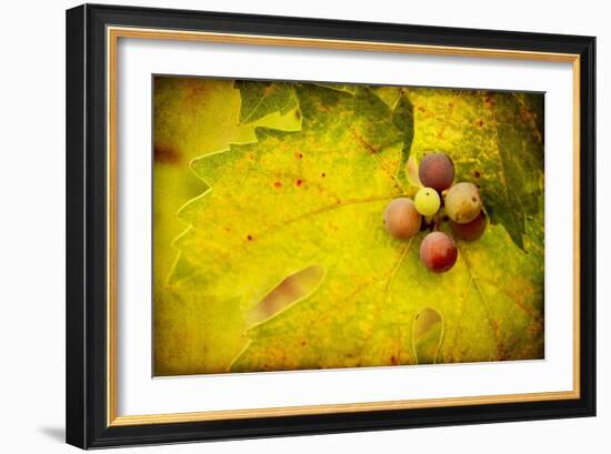 Leaf and Cluster 1-Jessica Rogers-Framed Giclee Print