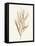 Leaf and Stem VII-Laura Horn-Framed Stretched Canvas