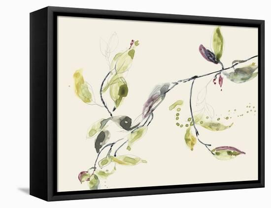 Leaf Branch I-Jennifer Goldberger-Framed Stretched Canvas