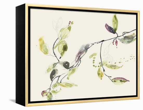 Leaf Branch I-Jennifer Goldberger-Framed Stretched Canvas