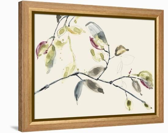 Leaf Branch II-Jennifer Goldberger-Framed Stretched Canvas