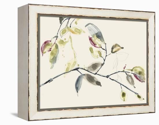 Leaf Branch II-Jennifer Goldberger-Framed Stretched Canvas