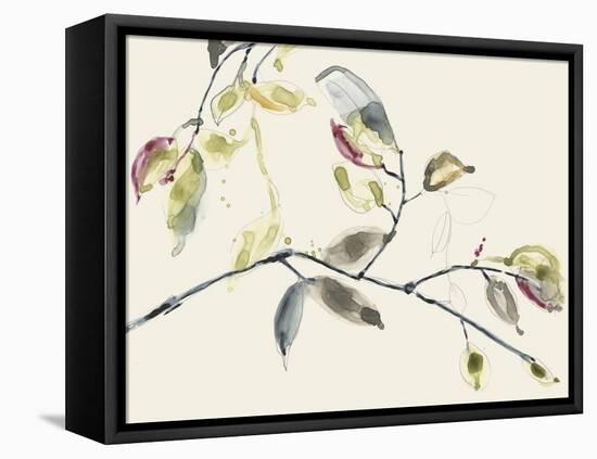 Leaf Branch II-Jennifer Goldberger-Framed Stretched Canvas