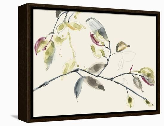 Leaf Branch II-Jennifer Goldberger-Framed Stretched Canvas