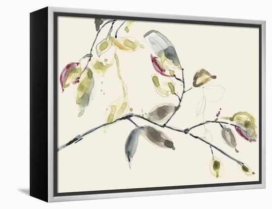 Leaf Branch II-Jennifer Goldberger-Framed Stretched Canvas