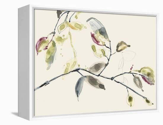 Leaf Branch II-Jennifer Goldberger-Framed Stretched Canvas