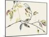Leaf Branch II-Jennifer Goldberger-Mounted Art Print