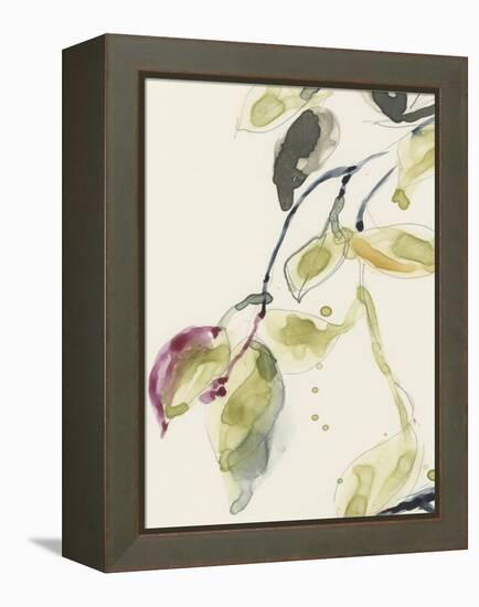 Leaf Branch Triptych I-Jennifer Goldberger-Framed Stretched Canvas