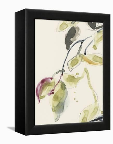 Leaf Branch Triptych I-Jennifer Goldberger-Framed Stretched Canvas