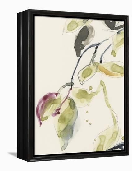 Leaf Branch Triptych I-Jennifer Goldberger-Framed Stretched Canvas