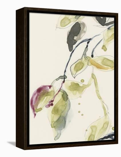 Leaf Branch Triptych I-Jennifer Goldberger-Framed Stretched Canvas