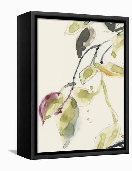 Leaf Branch Triptych I-Jennifer Goldberger-Framed Stretched Canvas