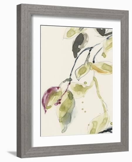 Leaf Branch Triptych I-Jennifer Goldberger-Framed Art Print