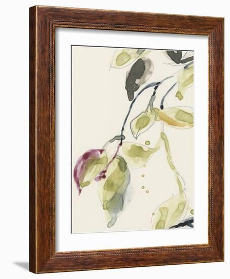 Leaf Branch Triptych I-Jennifer Goldberger-Framed Art Print