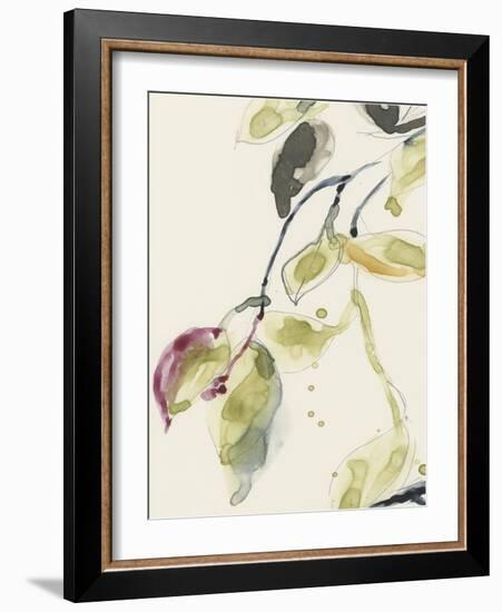 Leaf Branch Triptych I-Jennifer Goldberger-Framed Art Print