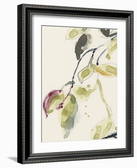 Leaf Branch Triptych I-Jennifer Goldberger-Framed Art Print