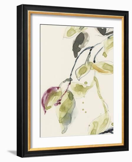 Leaf Branch Triptych I-Jennifer Goldberger-Framed Art Print