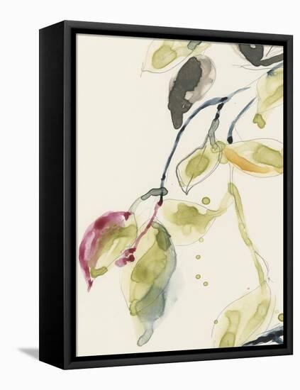 Leaf Branch Triptych I-Jennifer Goldberger-Framed Stretched Canvas