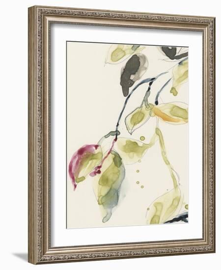 Leaf Branch Triptych I-Jennifer Goldberger-Framed Art Print