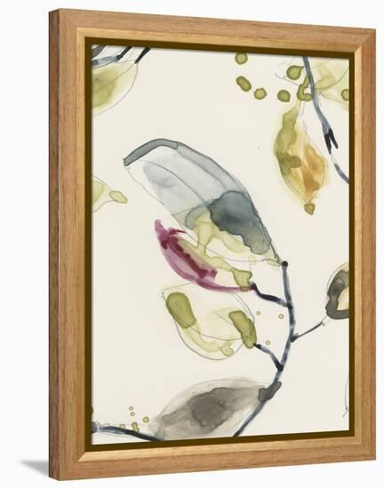 Leaf Branch Triptych II-Jennifer Goldberger-Framed Stretched Canvas