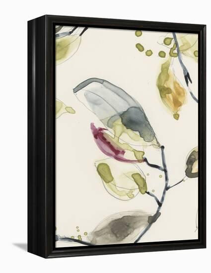 Leaf Branch Triptych II-Jennifer Goldberger-Framed Stretched Canvas