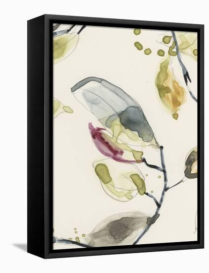 Leaf Branch Triptych II-Jennifer Goldberger-Framed Stretched Canvas