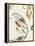 Leaf Branch Triptych II-Jennifer Goldberger-Framed Stretched Canvas