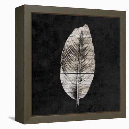 Leaf By The Spirit-Sheldon Lewis-Framed Stretched Canvas