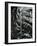 Leaf, c. 1985-Brett Weston-Framed Photographic Print