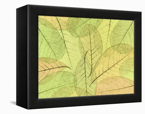 Leaf Collage I-Kathy Mahan-Framed Premier Image Canvas