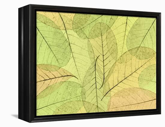 Leaf Collage I-Kathy Mahan-Framed Premier Image Canvas