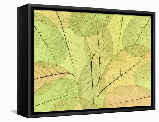 Leaf Collage I-Kathy Mahan-Framed Premier Image Canvas