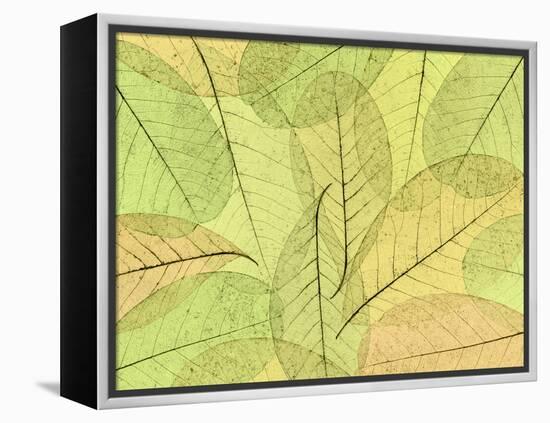 Leaf Collage I-Kathy Mahan-Framed Premier Image Canvas