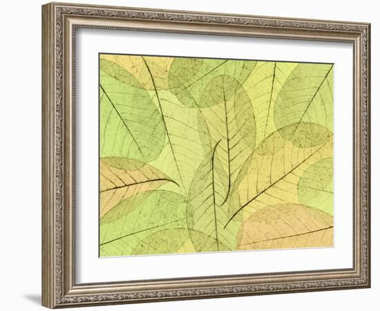 Leaf Collage I-Kathy Mahan-Framed Photographic Print