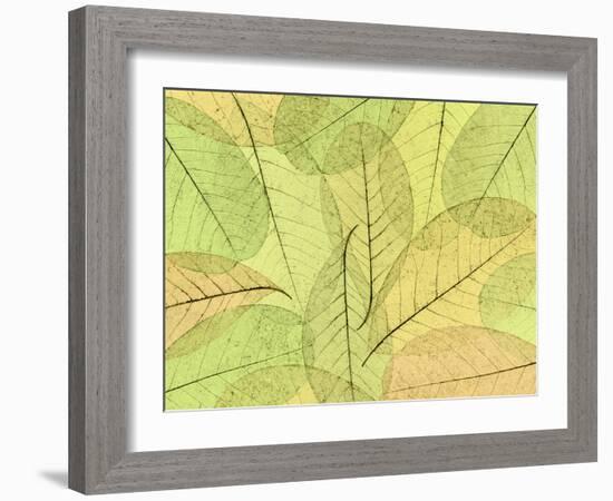 Leaf Collage I-Kathy Mahan-Framed Photographic Print