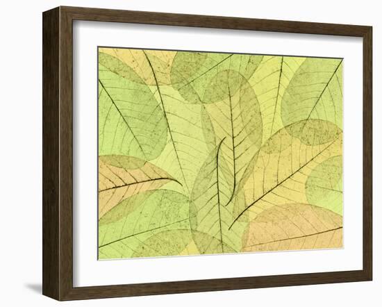 Leaf Collage I-Kathy Mahan-Framed Photographic Print